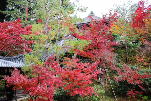 Düşüş sırasında güzel Japon tapınakta — Stok fotoğraf