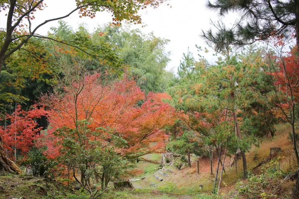 在科台寺的禅宗花园 — 图库照片