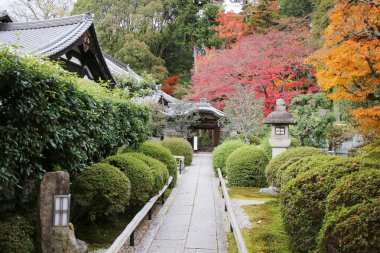 Konkai Komyoji tapınağın bulunduğu sakinleri düşmek 