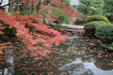 Konkai Komyoji tapınağın bulunduğu sakinleri düşmek 