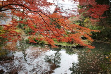 Konkai Komyoji tapınağın bulunduğu sakinleri düşmek 