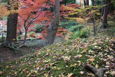 Konkai Komyoji tapınağın bulunduğu sakinleri düşmek 