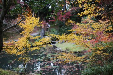 Autam zen Bahçe Konkai Komyoji Tapınağı 