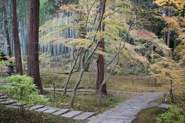 Chute Konkai Komyoji Position Temple Résidents — Photo