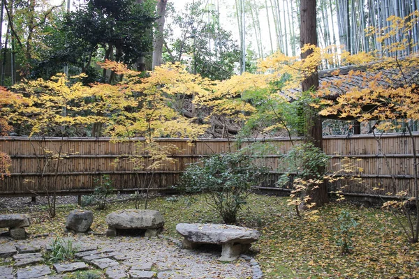 Caída Konkai Komyoji Posición Del Templo Residentes — Foto de Stock