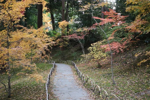 Sturz Konkai Komyoji Tempel Position Bewohner — Stockfoto