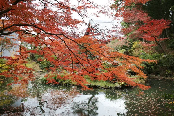 Caduta Konkai Komyoji Posizione Tempio Residenti — Foto Stock