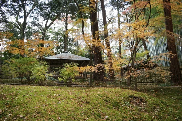 Autam Konkai Komyoji Posición Templo Residentes — Foto de Stock
