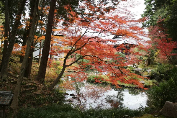 Caduta Konkai Komyoji Posizione Tempio Residenti — Foto Stock