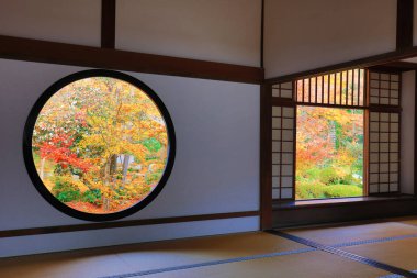 Genko Kyoto bir tapınakta karışıklık pencere