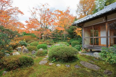 Genko bir tapınak Garden'da Güz 
