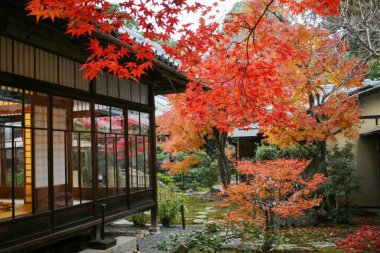 Shinsho gokuraku ji Bahçe sonbahar 