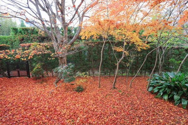 Zahrada Podzim Genko Chrám — Stock fotografie