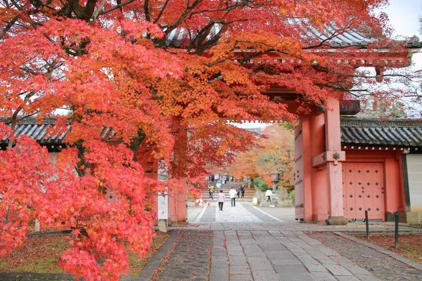 Shinnyo 的正门做京都寺 — 图库照片