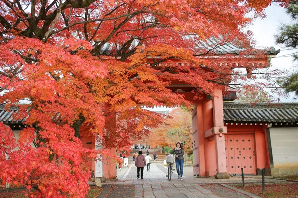 Shinnyo 的正门做京都寺 — 图库照片