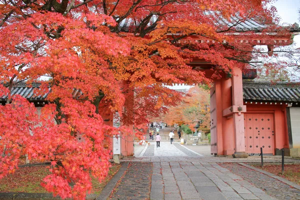 Shinnyo 的正门做京都寺 — 图库照片