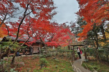 maple da Enrian Tapınağı sonbahar renkleri