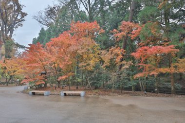 Kitano Kitano tenmangu tapınak Kyoto.japan içinde