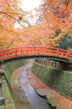 Kitano Tenmangu tapınak sonbahar renkli yeşillik akçaağaç