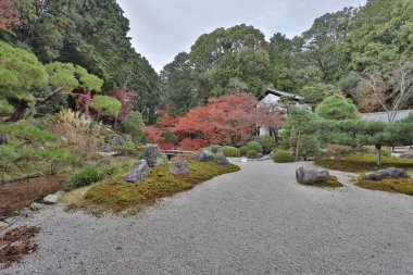 Konkai Komyoji tapınak taş bahçe 