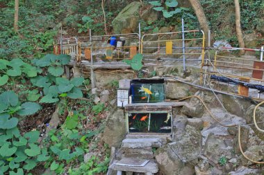 Hong kong akciğer Yan yol iz