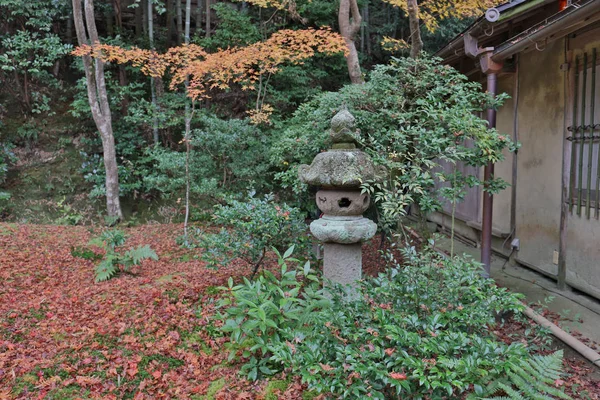 A estação de queda da árvore de bordo, Templo de Gio ji — Fotografia de Stock