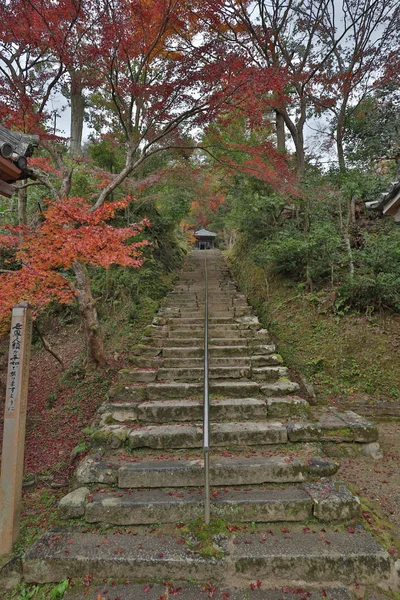 日本京都日的秋季色彩 — 图库照片