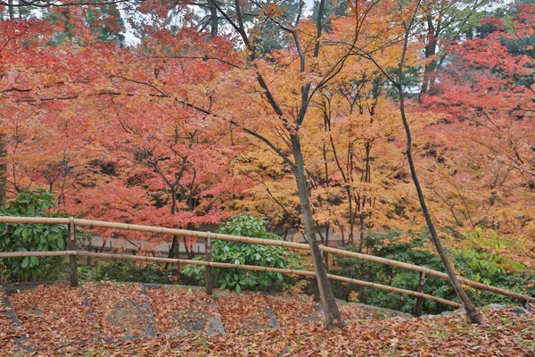 Kitano Kitano tenmangu tapınak Kyoto.japan içinde — Stok fotoğraf