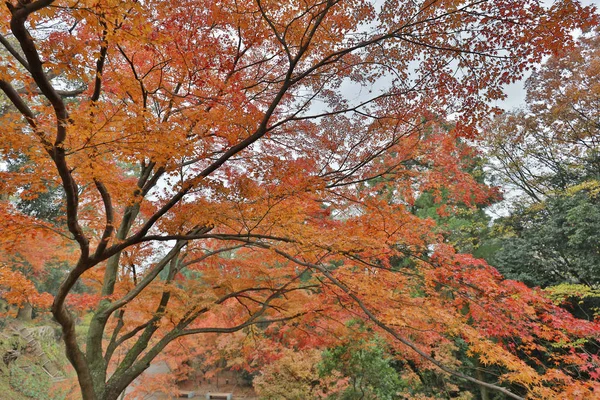 Santuário Kitano Kitano tenmangu em Kyoto.japão — Fotografia de Stock