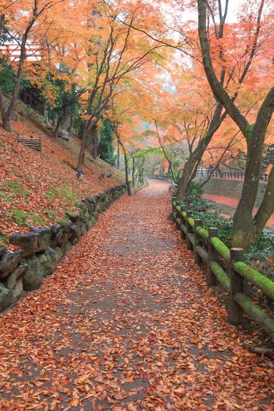 北野北野天満宮でパス — ストック写真