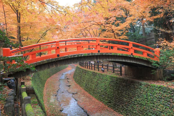 Kitano Tenmangu Schrein Herbst bunte Laub Ahorn Bäume — Stockfoto