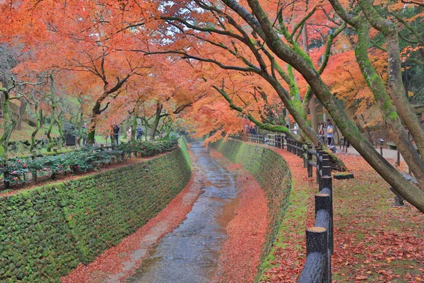 Kitano Tenmangu Santuário Outono árvores de bordo coloridas — Fotografia de Stock