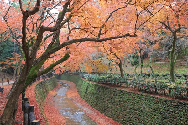 Барвисті кленів Kitano Tenmangu Shrine осінь — стокове фото