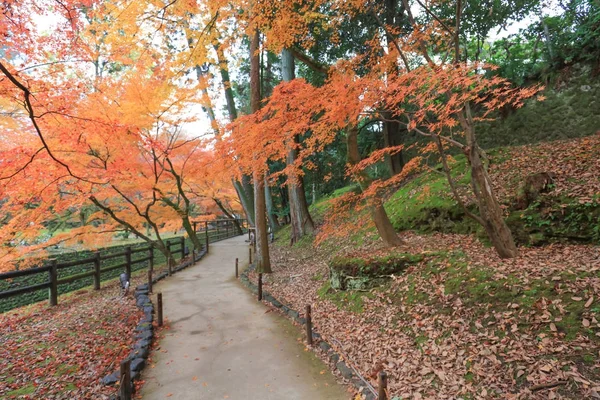 北野天満宮秋のカラフルなもみじの木 — ストック写真