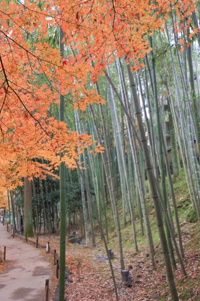 Kitano Kitano tenmangu heiligdom in Kyoto.japan — Stockfoto