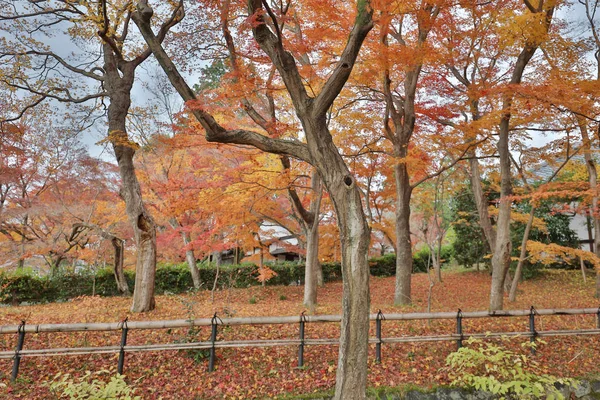 Der Shinsho Gokuraku ji Garten im Herbst — Stockfoto