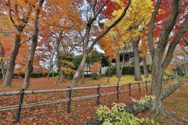 秋の新書極楽寺庭園 — ストック写真