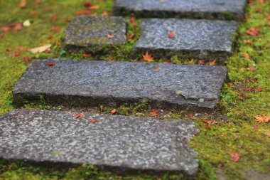 kırmızı akçaağaç terk yeşil ecek tapınak Nison içinde 