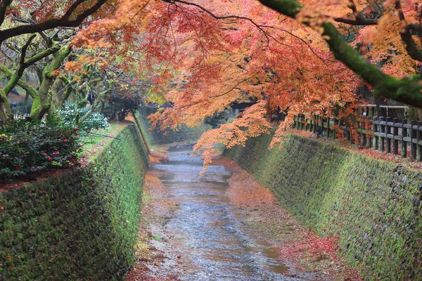 Érable et rivière au sanctuaire Kitano Kitano tenmangu — Photo