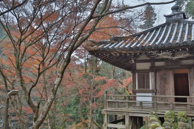 Ahmet Bahçe veya Arakan, Otagi anlayışımız ji