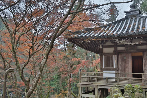 羅漢の庭やアラカン 愛宕念仏寺 — ストック写真