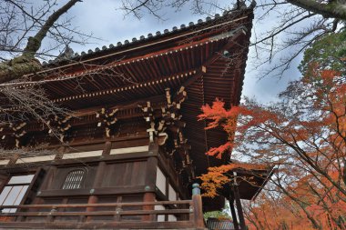 sonbahar Shinnyo do Kyoto tapınakta