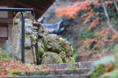 bir Otagi anlayışımız ji Tapınağı, Kyoto, Japonya