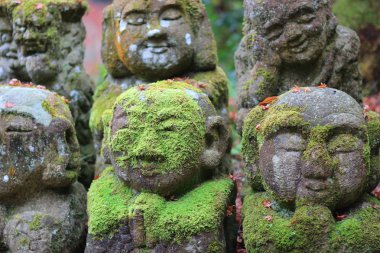 Otagi anlayışımız ji Tapınağı, Kyoto, Japonya