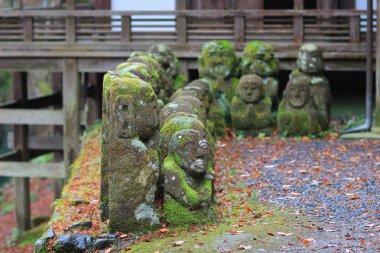 Otagi anlayışımız ji Tapınağı, Kyoto, Japonya