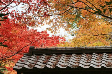 Enrian Saganisonin Monzen Zenkoji Yamach