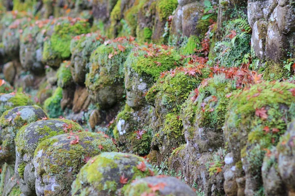 Tempio Otagi Nenbutsu Kyoto Giappone — Foto Stock