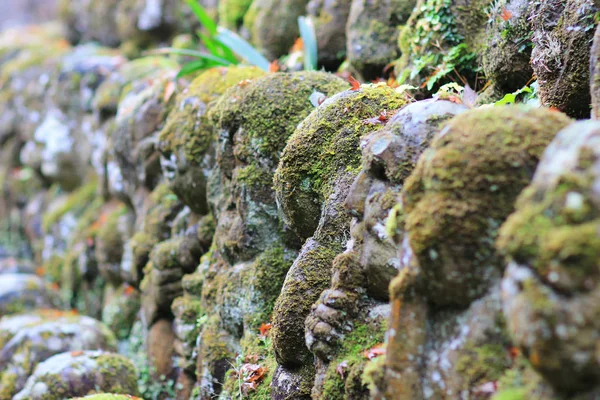 Templo Otagi Nenbutsu Kyoto Japão — Fotografia de Stock