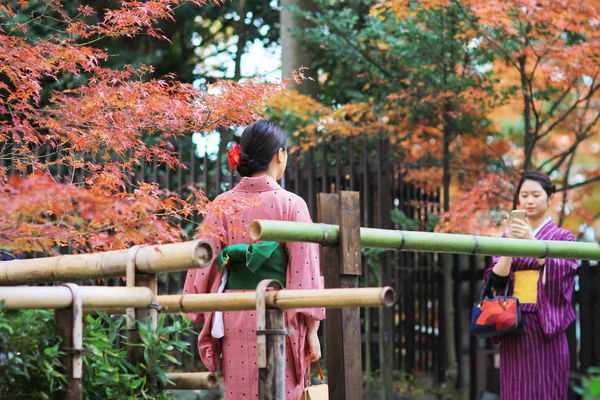 Importante Tradição Cultura Japonesa Kyoto — Fotografia de Stock