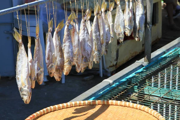 Peces salados — Foto de Stock